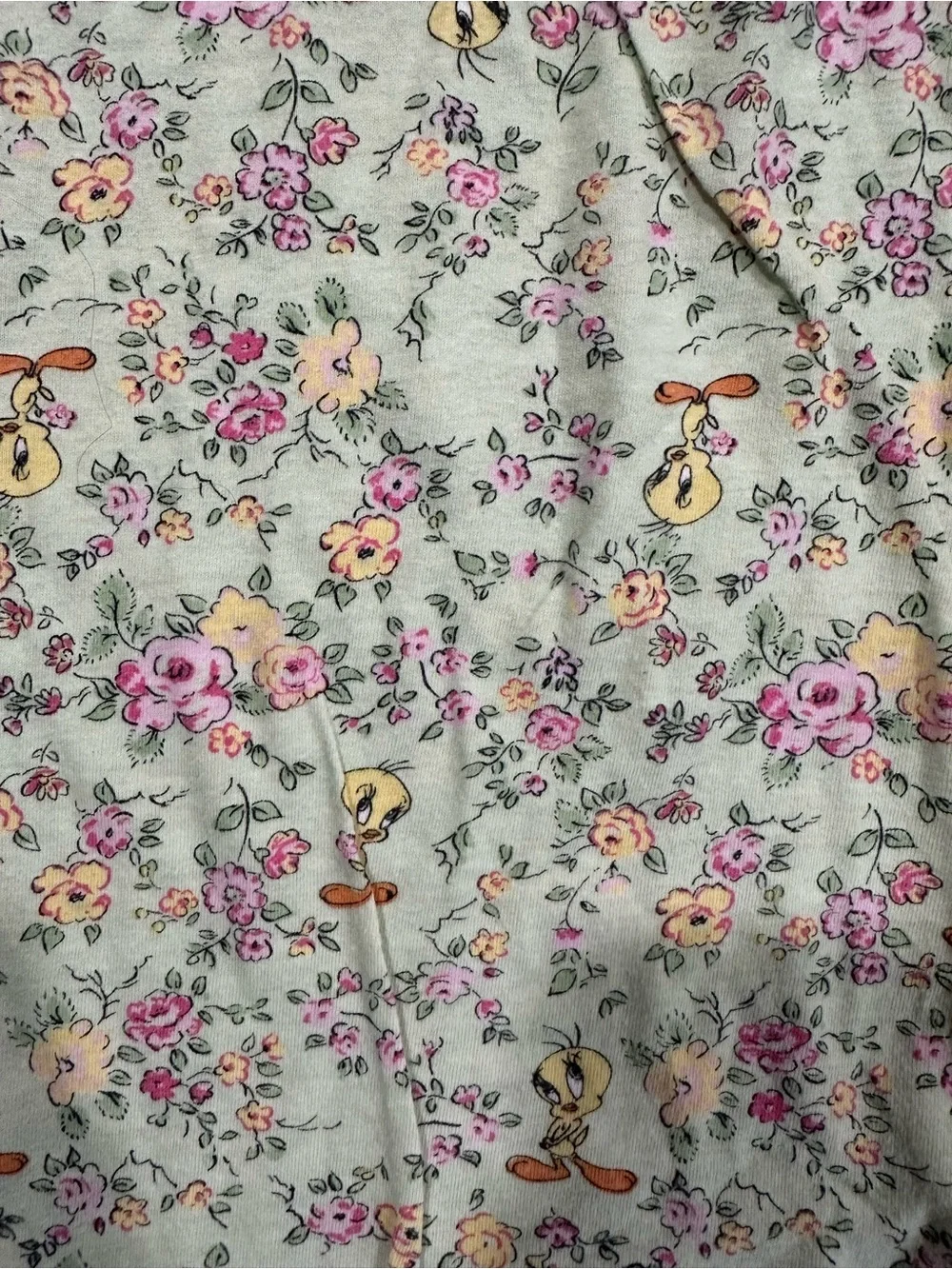 Tweety Bird Floral Lounge Pajama Pants Kids Size 12 Green Cotton Blend